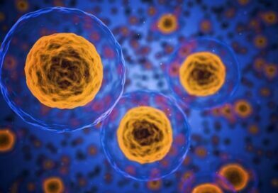 Microplastics in human lungs, blood, excrements, what else? Microplastics in human lungs, blood, excrements, what else?